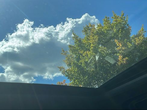 Used 2024 Subaru Forester Wilderness image 24