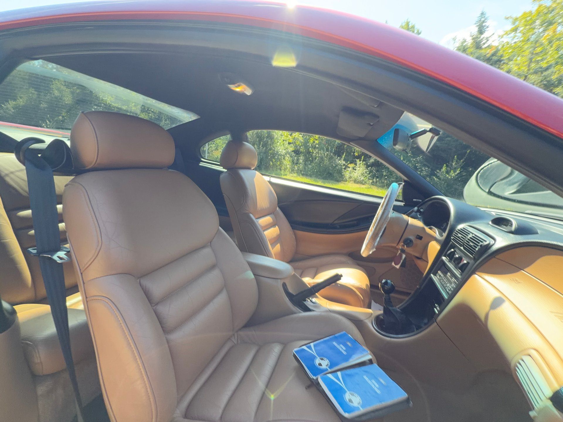 Used 1996 Ford Mustang Cobra RWD image 17