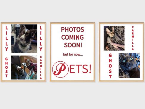 Used 2022 Ford Transit 350 XLT image 3