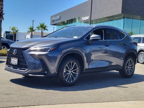 Used 2025 Lexus NX 350h AWD w/ Cold Area Package image 2