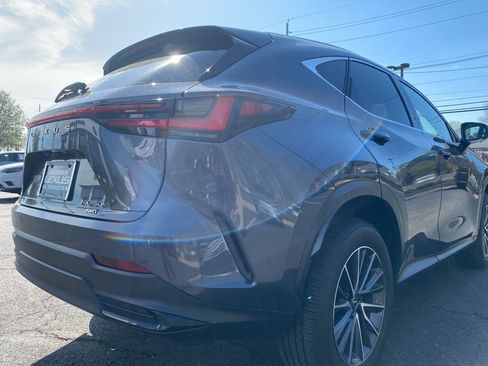 Used 2025 Lexus NX 350h AWD w/ Premium Package image 5