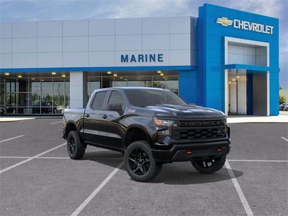 New 2026 Chevrolet Silverado 1500 Custom Trail Boss