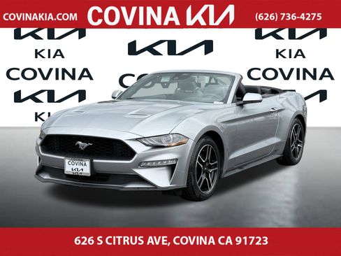 Used 2023 Ford Mustang Premium image 4