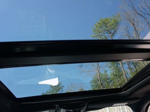 Used 2019 Ford F150 Raptor w/ Equipment Group 802A Luxury image 15