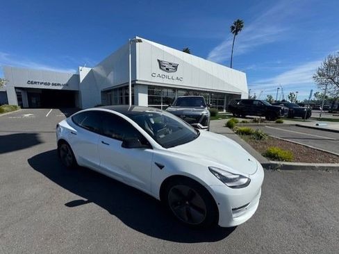 Used 2019 Tesla Model 3 Long Range image 1