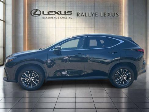 Certified 2024 Lexus NX 350h AWD w/ Cold Area Package image 4