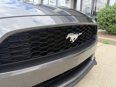 Used 2015 Ford Mustang Coupe w/ Equipment Group 051A RWD image 15