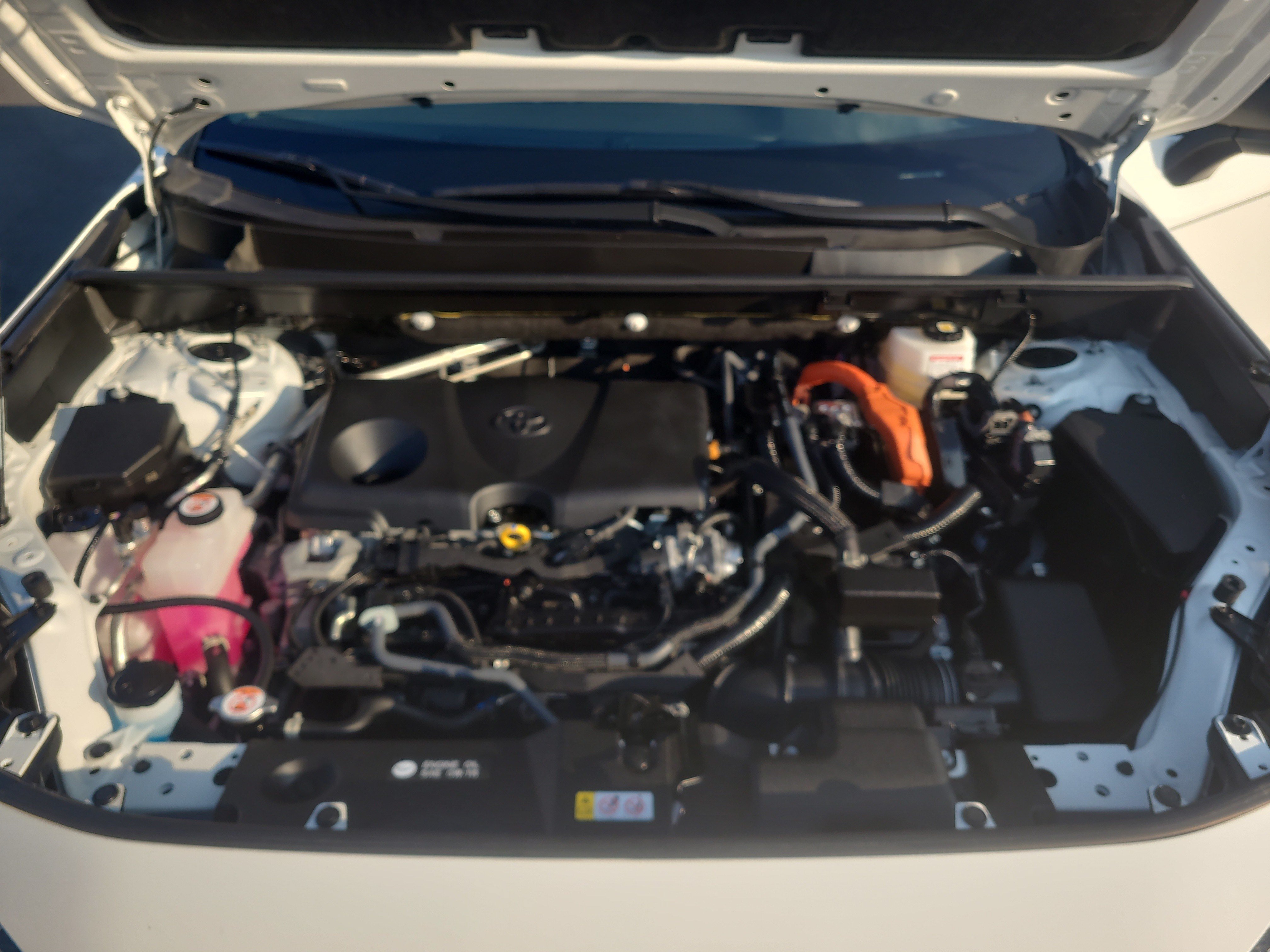 Certified 2025 Toyota RAV4 LE AWD/4WD image 31