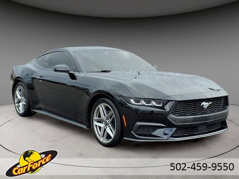 Used 2024 Ford Mustang EcoBoost image 14