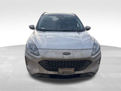 Used 2020 Ford Escape SEL image 4