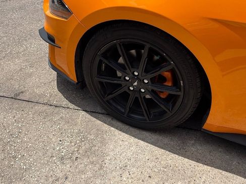 Used 2019 Ford Mustang Premium w/ Equipment Group 201A RWD image 9