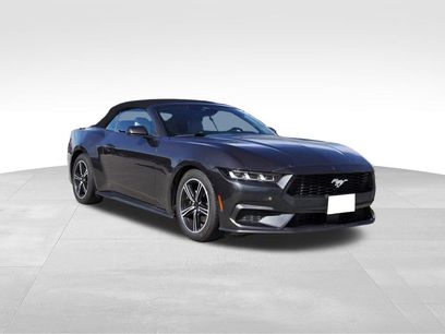 Used 2024 Ford Mustang Premium
