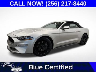 Used 2019 Ford Mustang Premium w/ Ecoboost Performance Package