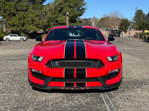 Used 2016 Ford Mustang Shelby GT350 image 8