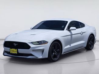 Used 2019 Ford Mustang Coupe RWD video 1