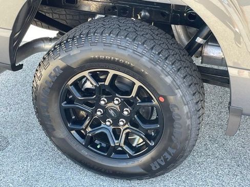 New 2026 Ford F150 XLT w/ XLT Black Appearance Package AWD/4WD image 19