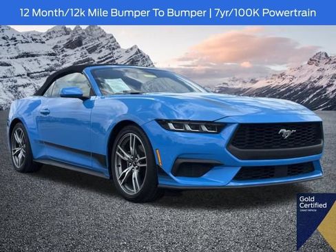Used 2024 Ford Mustang Premium w/ Wheel & Stripe Package RWD image 1