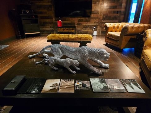 Used 2003 Lincoln Town Car Cartier image 23