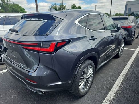 Used 2025 Lexus NX 350h AWD w/ Accessory Package (2T) image 3