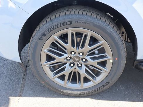 New 2026 Ford Expedition Platinum w/ Stealth Appearance Package image 20