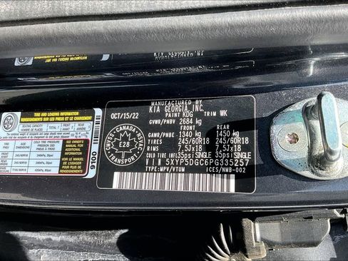 Used 2023 Kia Telluride SX Prestige X-Pro AWD/4WD image 19