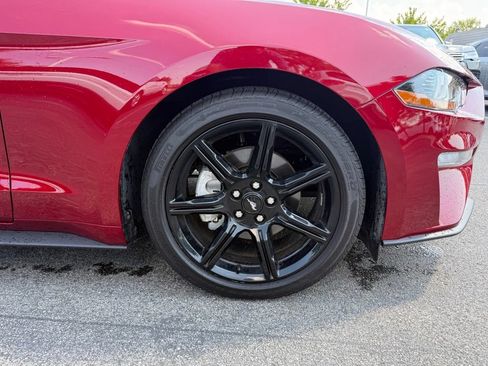 Used 2019 Ford Mustang Coupe w/ Equipment Group 101A RWD image 26