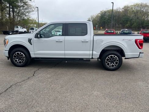 Used 2023 Ford F150 XLT w/ Equipment Group 302A High AWD/4WD image 8