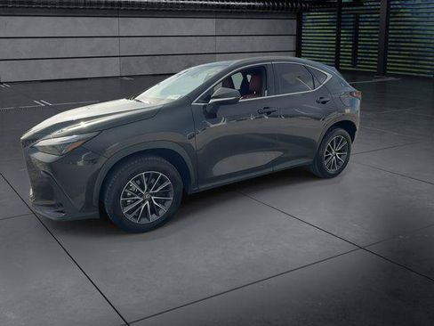 Certified 2025 Lexus NX 350h AWD w/ Cold Area Package image 4