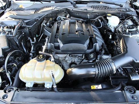 Used 2017 Ford Mustang Coupe RWD image 15
