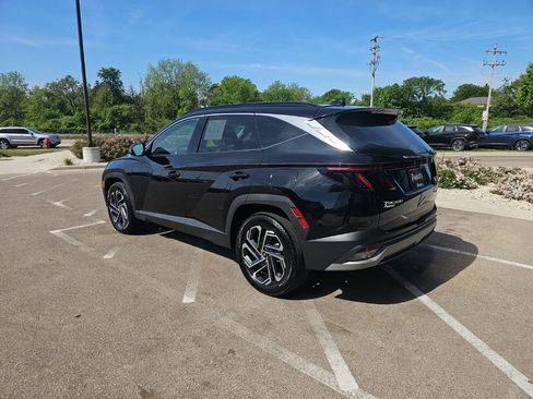 Used 2025 Hyundai Tucson Limited AWD/4WD image 3
