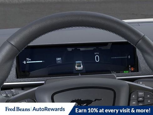 New 2025 Ford Mustang Mach-E GT w/ Interior Protection Package image 13