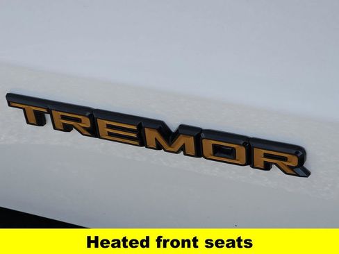 New 2025 Ford Expedition Tremor image 13