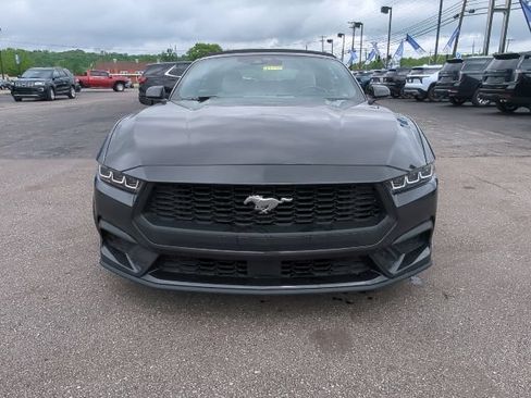 Used 2024 Ford Mustang Premium RWD image 5