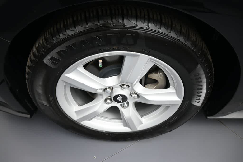 Used 2019 Ford Mustang Convertible RWD image 14