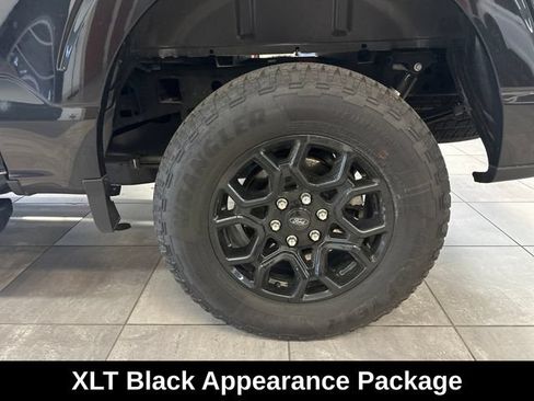 Used 2024 Ford F150 XLT w/ Equipment Group 302A MID AWD/4WD image 5
