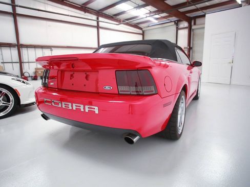 Used 2004 Ford Mustang Cobra RWD image 8