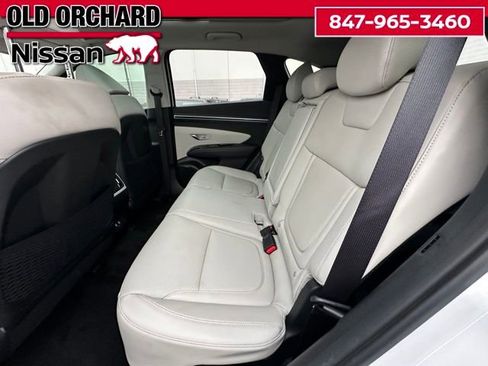 Used 2023 Hyundai Tucson Limited AWD/4WD image 13