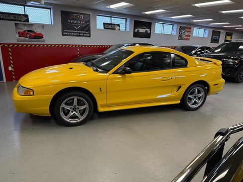 Used 1998 Ford Mustang Cobra RWD image 3