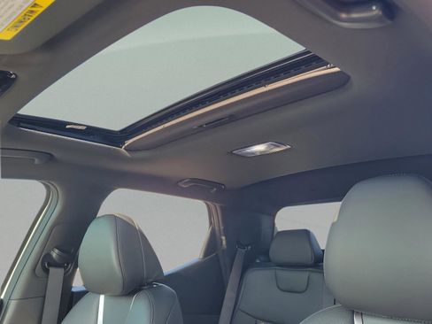 New 2025 Hyundai Santa Cruz Limited image 23