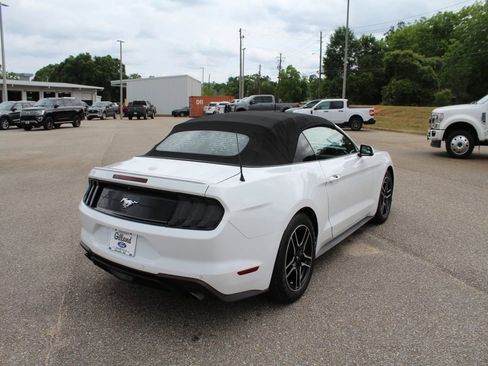 Used 2018 Ford Mustang Premium RWD image 6