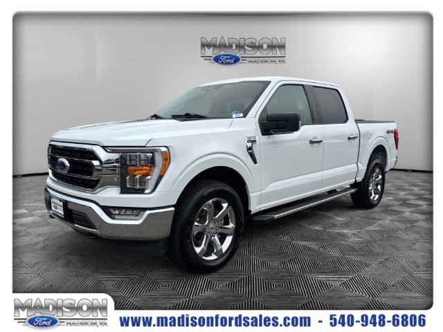 Used 2023 Ford F150 XLT w/ Equipment Group 302A High AWD/4WD image 1