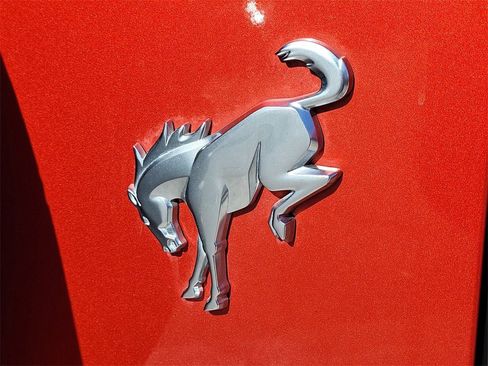 Used 2024 Ford Bronco Big Bend image 13