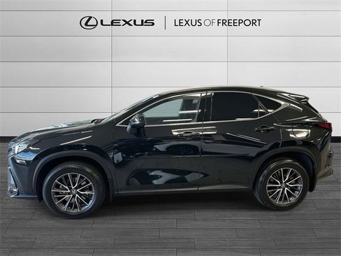 Certified 2022 Lexus NX 350h AWD image 6