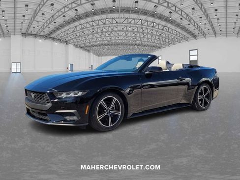 Used 2024 Ford Mustang Premium image 3