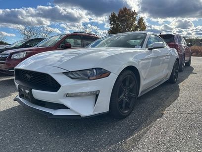 Used 2019 Ford Mustang Coupe w/ Equipment Group 101A