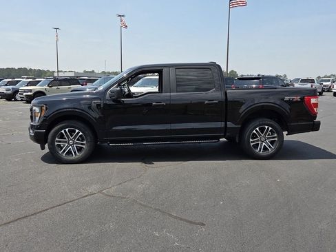 Used 2023 Ford F150 XL w/ STX Appearance Package RWD image 4