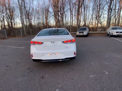 Used 2019 Hyundai Sonata Limited image 15