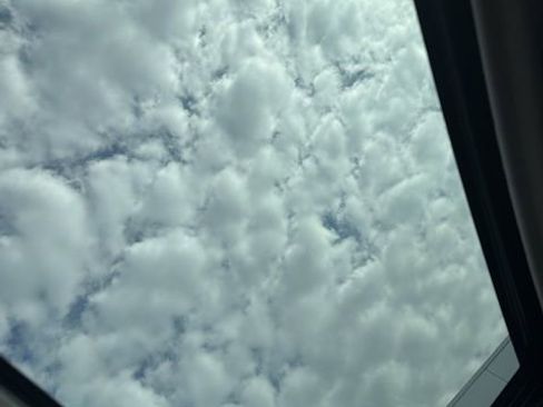 Used 2017 Toyota 4Runner SR5 Premium RWD image 16