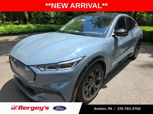 Used 2023 Ford Mustang Mach-E Premium w/ Mustang Nite Pony Package AWD/4WD image 1