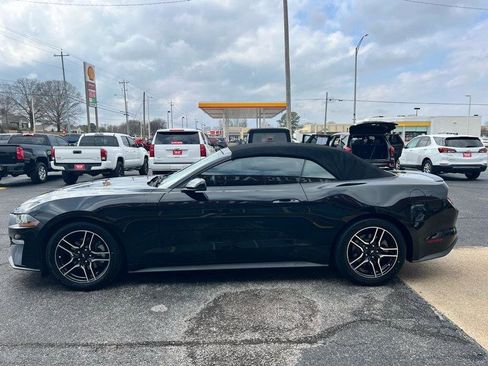 Used 2019 Ford Mustang Premium image 6